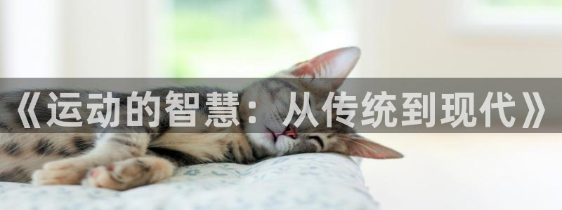 欧亿体育官方正版app娱乐：《运动的智慧：从传统到现