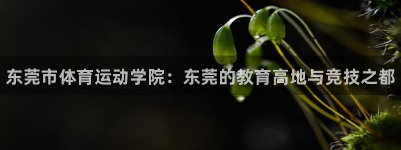 欧亿体育官方平台体育：东莞市体育运动学院：东莞的教育