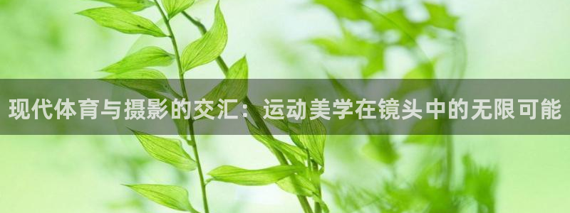 欧亿体育官方正版app集团官网网址：现代体育与摄影的