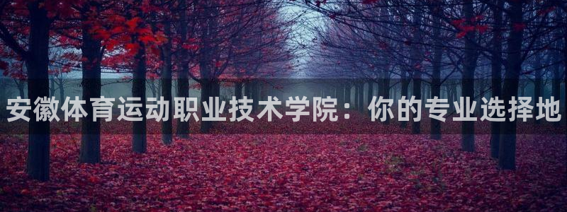 欧亿体育官方正版app娱乐首页网站大全：安徽体育运动