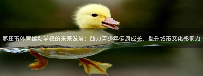 欧亿体育官方正版app集团官网首页网址：枣庄市体育运动学校的