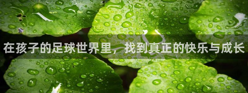 德国欧亿体育官方正版app集团：在孩子的足球世界里，