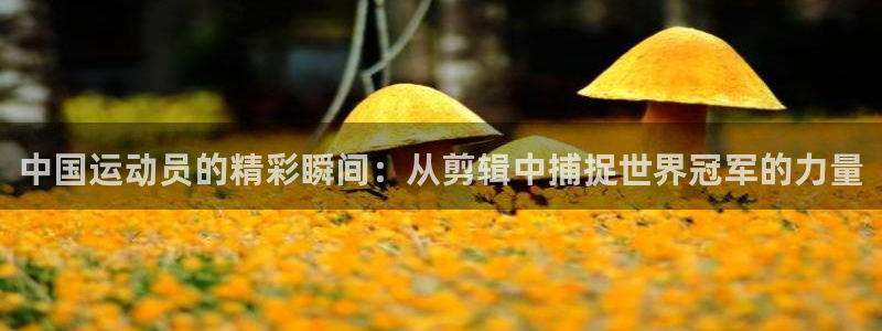 欧亿体育官方正版app新能源：中国运动员的精彩瞬间：