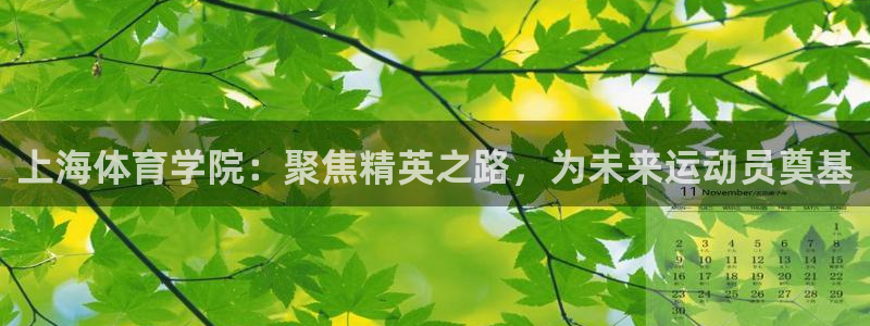 欧亿体育官方正版app集团E.ON：上海体育学院：聚焦精英之