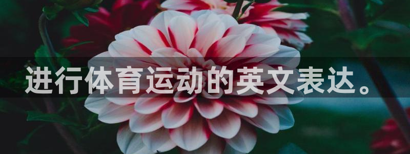 oety欧亿体育官网下载平台假的吗是真的吗吗