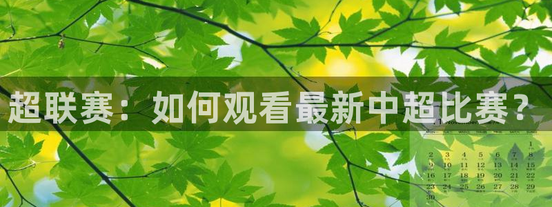 搜球吧 直播：超联赛：如何观看最新中超比赛？