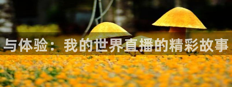 搜球体育直播：与体验：我的世界直播的精彩故事