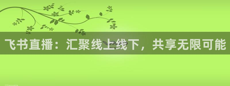 搜球直播体育：飞书直播：汇聚线上线下，共享无限可能